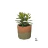 SUKULENT W BETONOWEJ DONICZCE H20CM