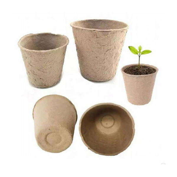 DONICZKI TORFOWE- 0820