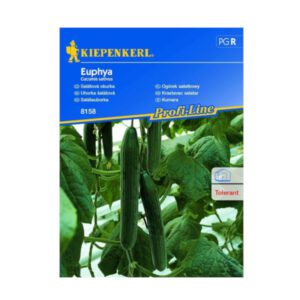 KIEPENKERL OGÓREK SAŁATKOWY EUPHYA F1