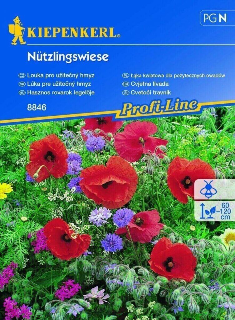 KIEPENKERL ŁĄKA KWIAT DLA POŻYTECZNYCH OWADÓW