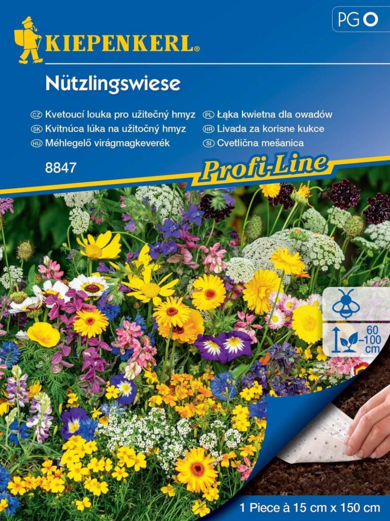 KIEPENKERL ŁĄKA KWIETNA DLA OWADÓW