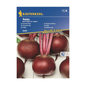 KIEPENKERL BURAK PABLO F1 tło