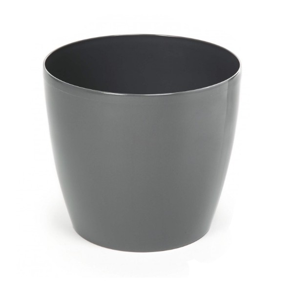 DONICZKA MAGNOLIA 13,5 SREBRNA