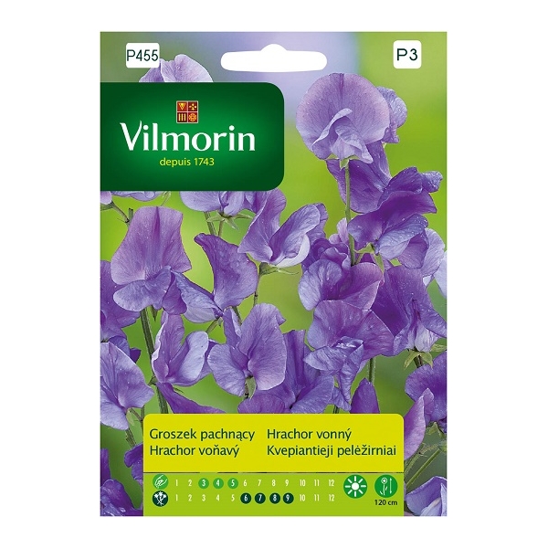 GROSZEK PACHNĄCY P3 2G