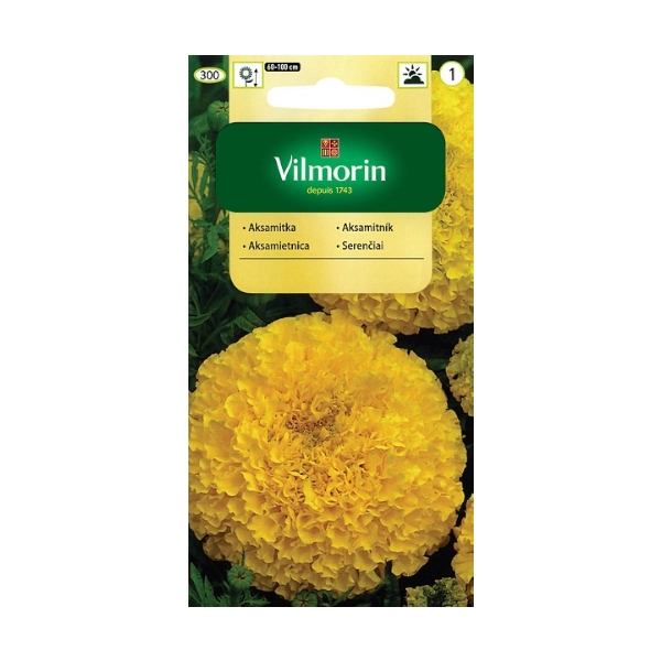 AKSAMITKA WZNIESIONA CYTRYNOWA 1G