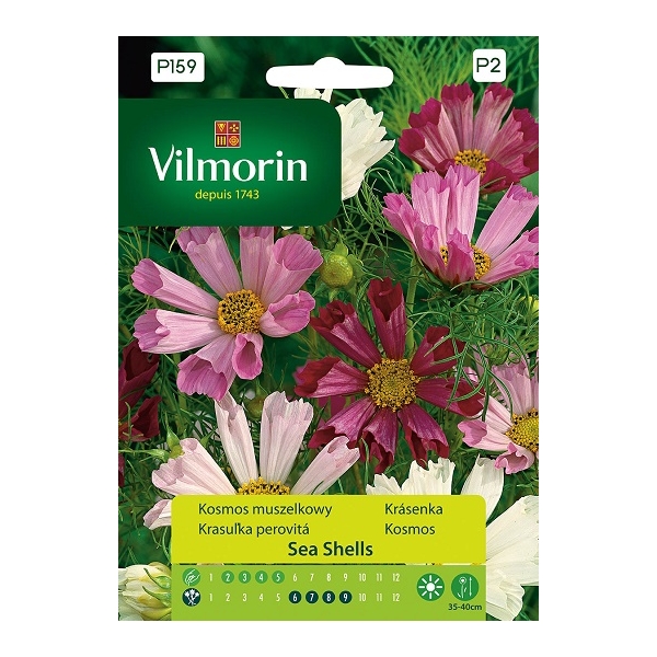 KOSMOS MUSZELKOWY SEA SHELLS 0,2G