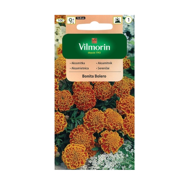 AKSAMITKA BONITA BOLERO 1G