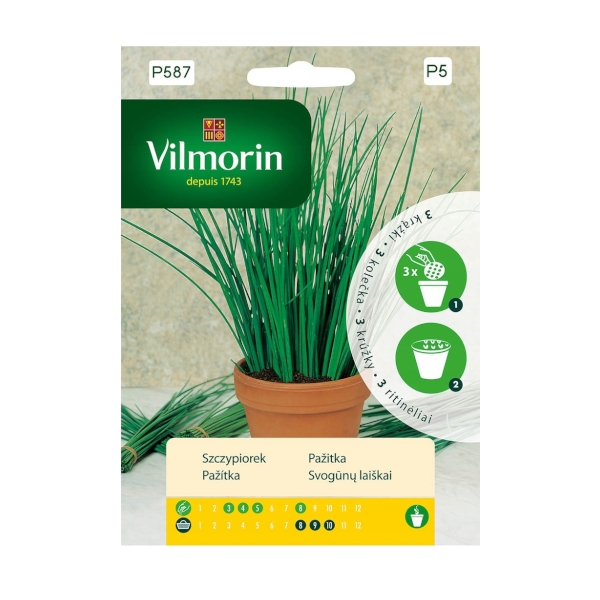 SZCZYPIOREK NASIONA NA KRĄŻKU