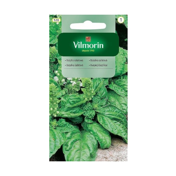 BAZYLIA SAŁATOWA 1G