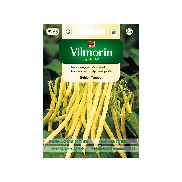 FASOLA ŻÓŁTA KARŁOWA GOLDEN TEEPEE 30G