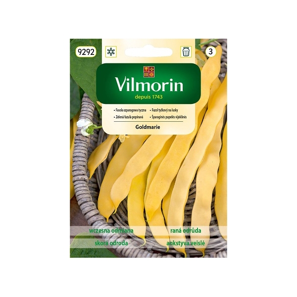 FASOLA ŻÓŁTA TYCZNA GOLDMARIE 10G