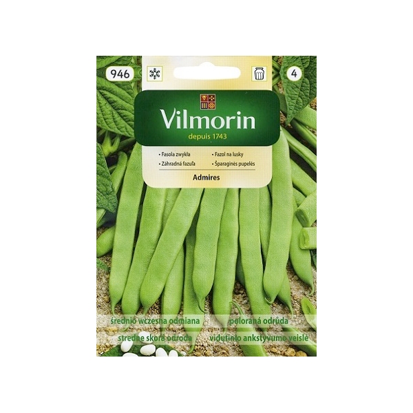 FASOLA ZIELONA KARŁOWA ADMIRES 30G